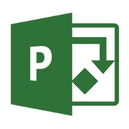 Microsoft Project Pro