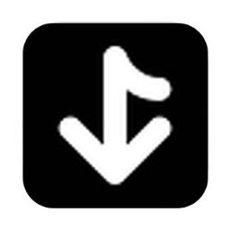Tiktok Downloader