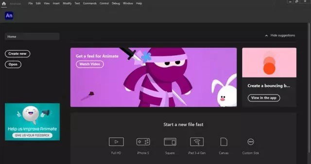 Adobe Animate 2021