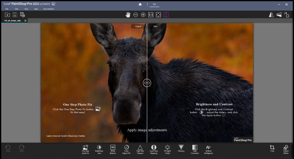 Corel PaintShop Pro