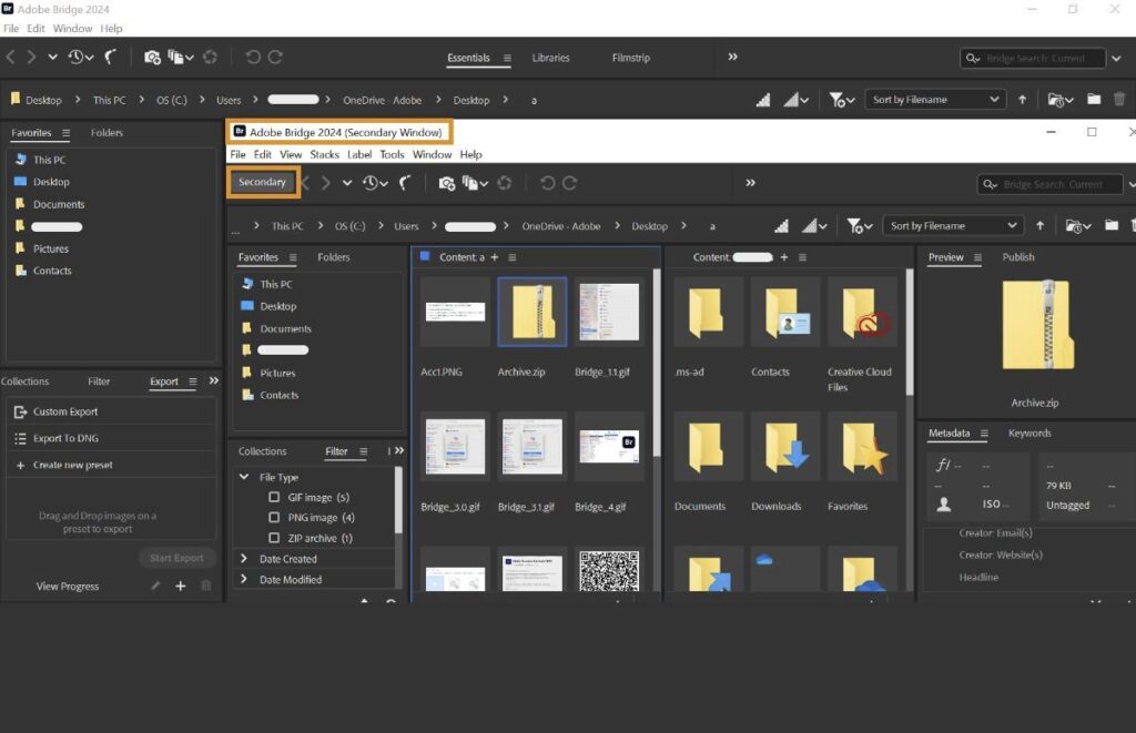 Adobe Bridge 2022