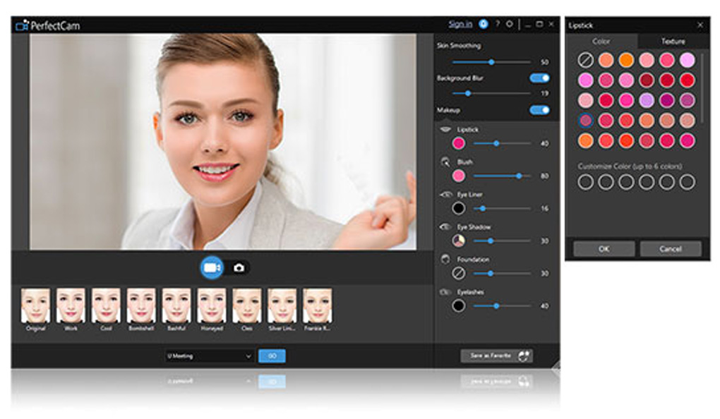 CyberLink PerfectCam Premium