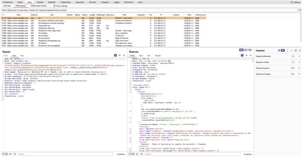 Burp Suite Professional Screenshot